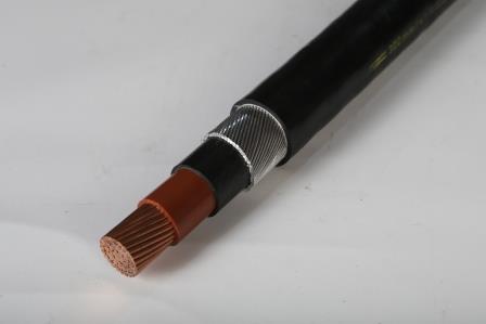 Single phase armoured cable